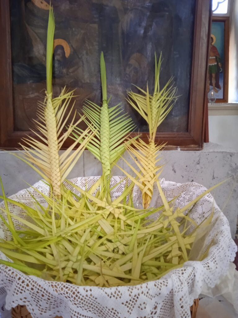 440074335_1758025131269901_642191992139437138_n